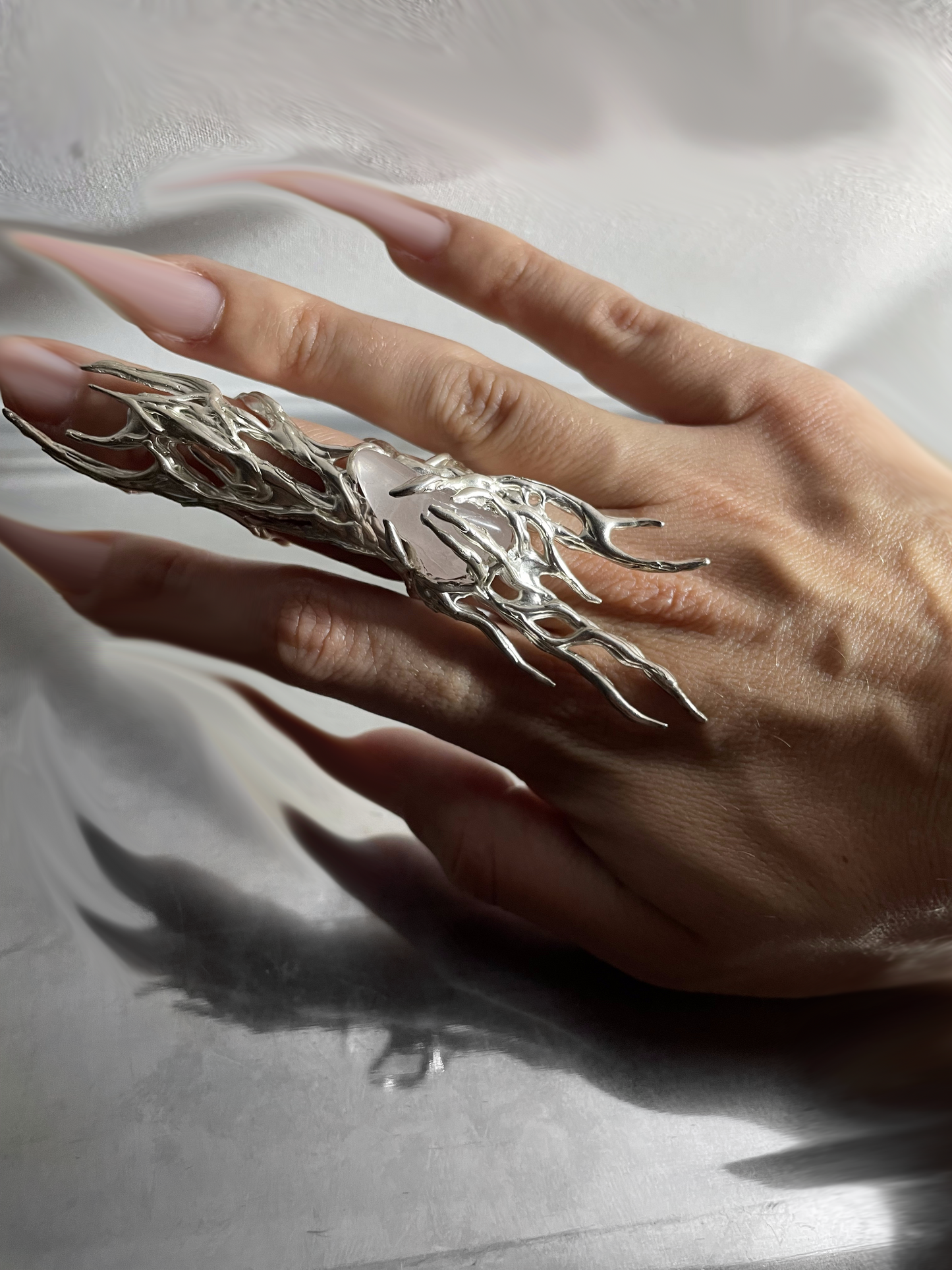 Printzes ring
