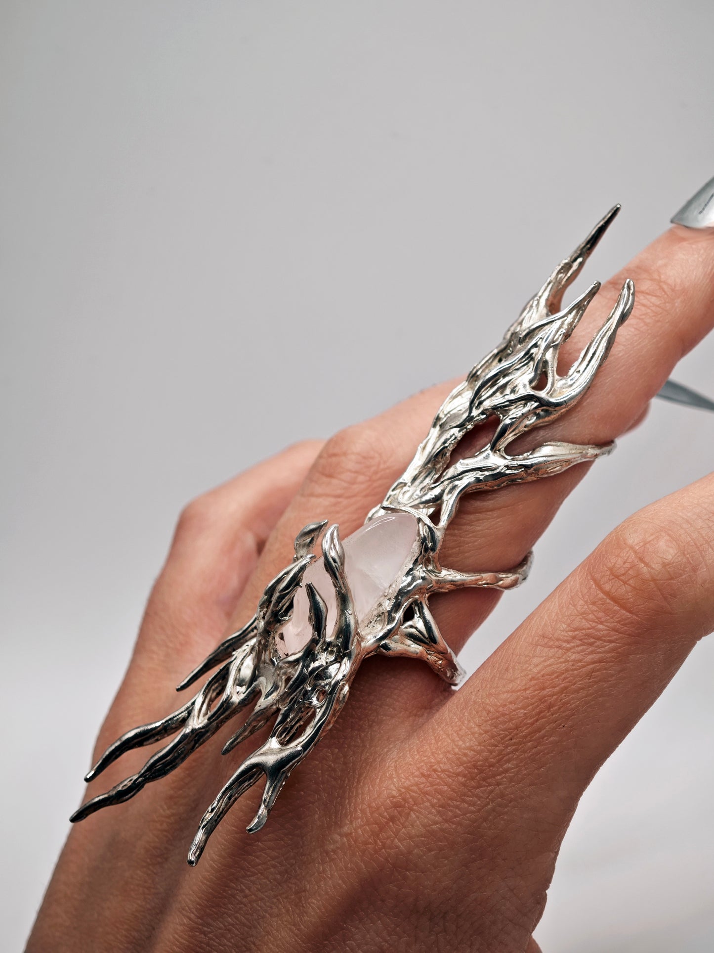 Printzes ring