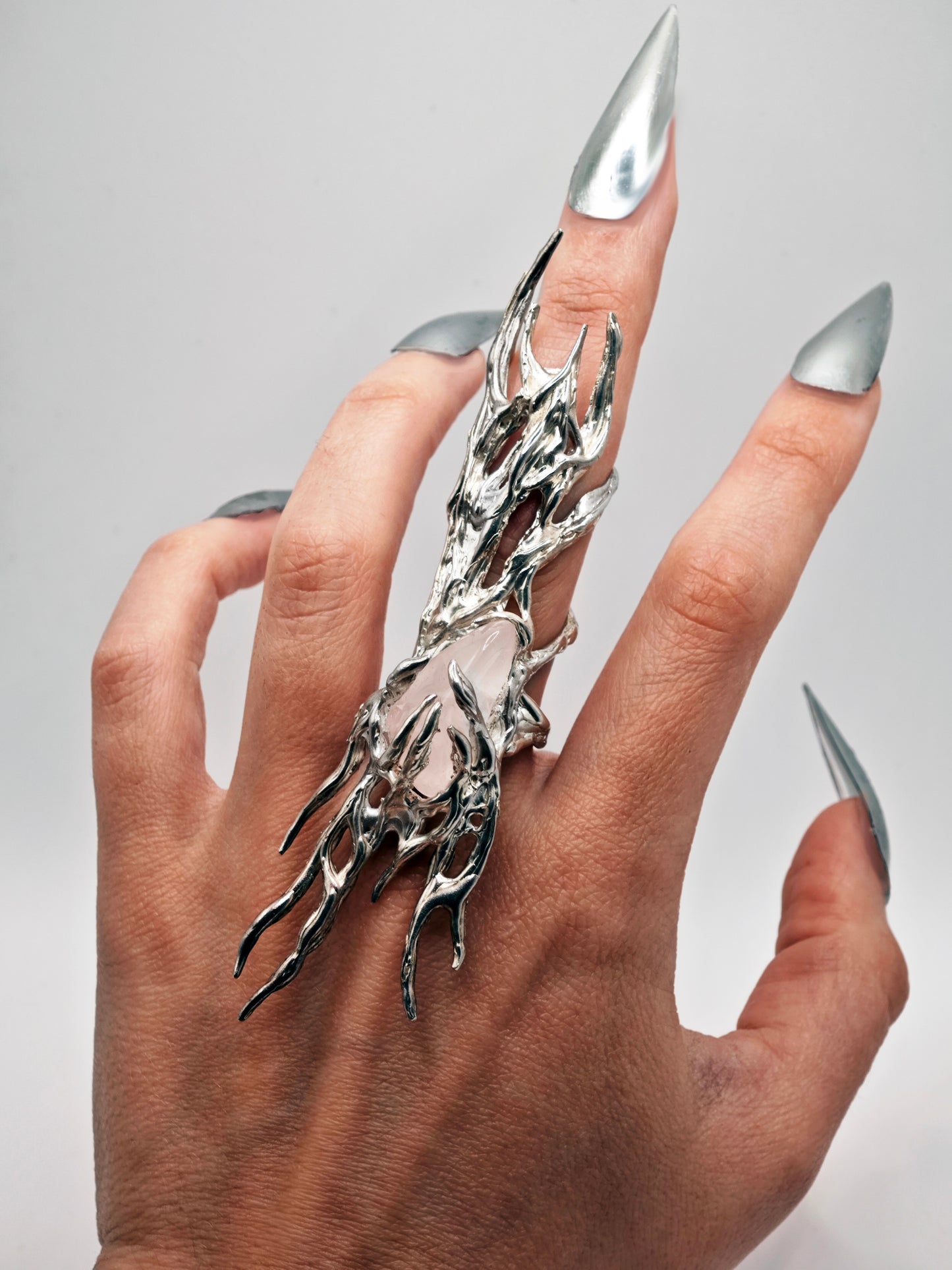 Printzes ring