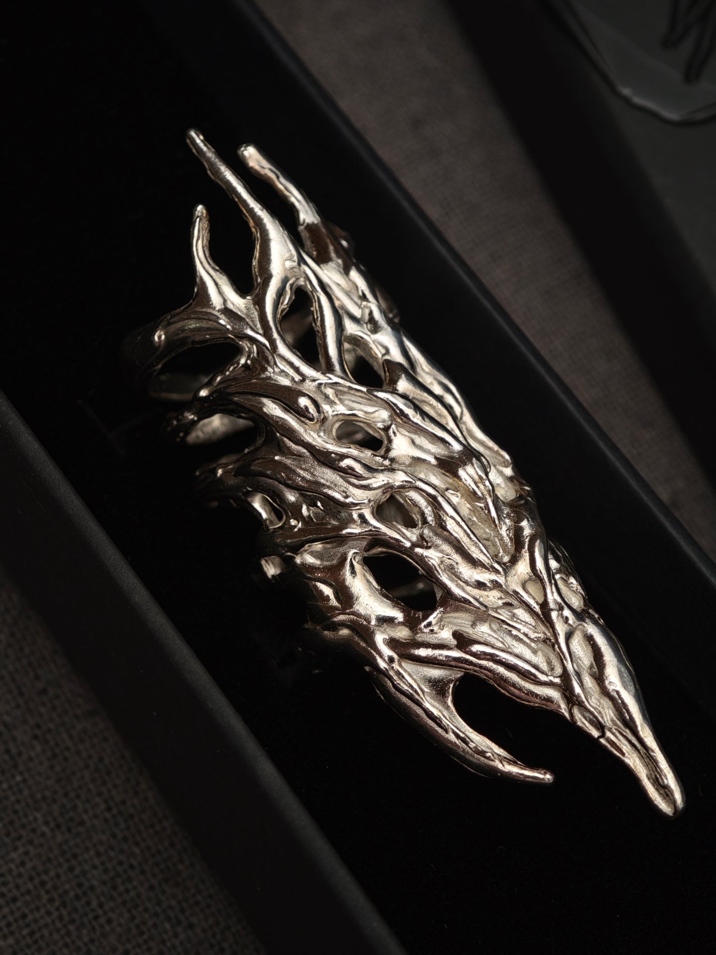 Anillo Erregiña