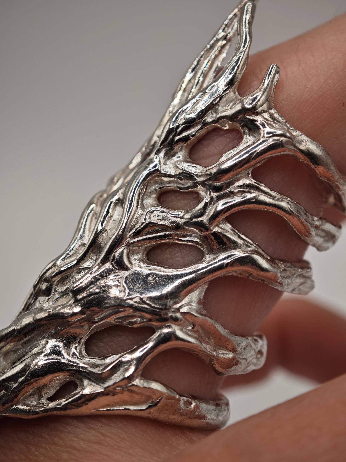 Anillo Erregiña