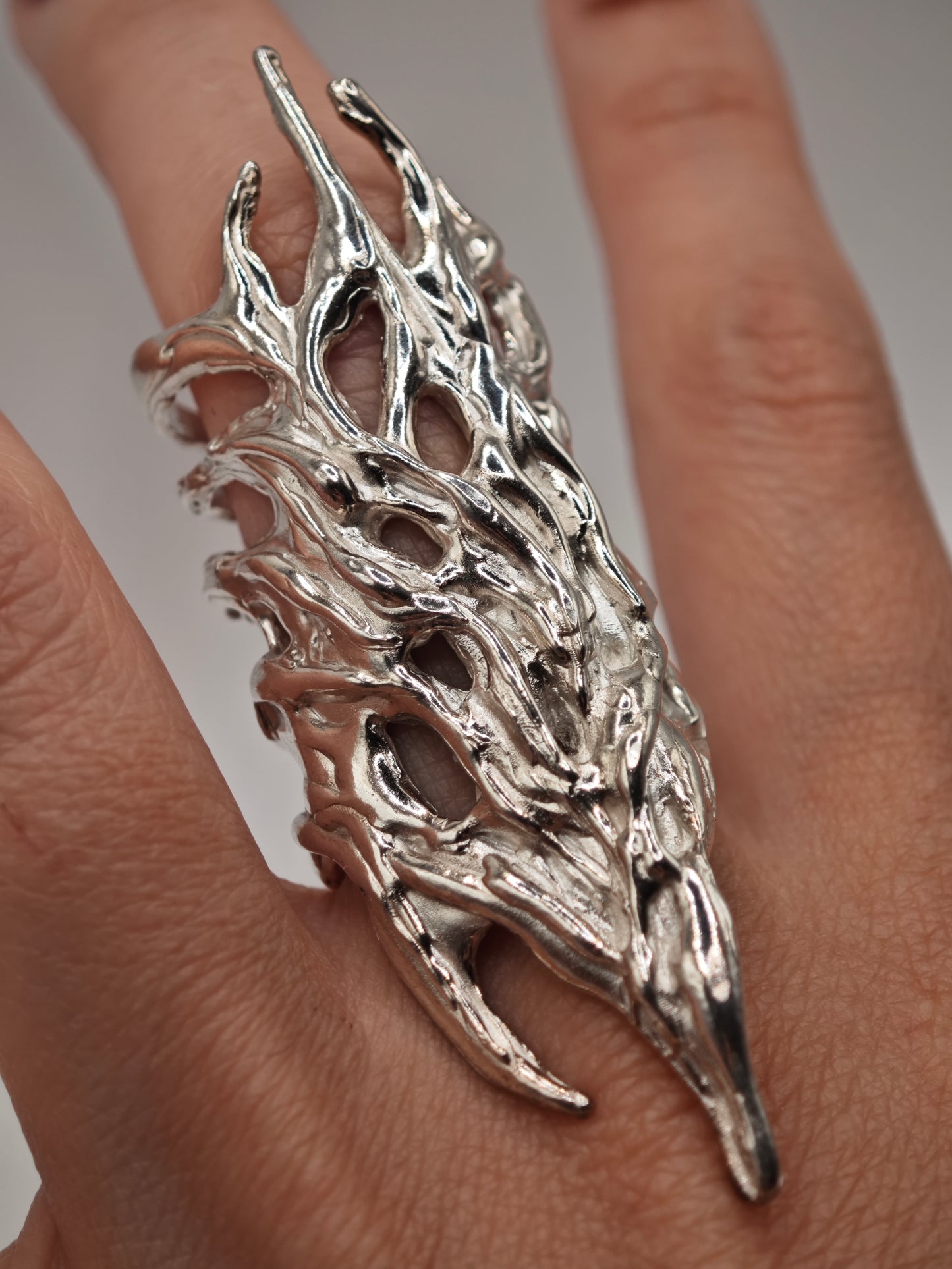 Anillo Erregiña