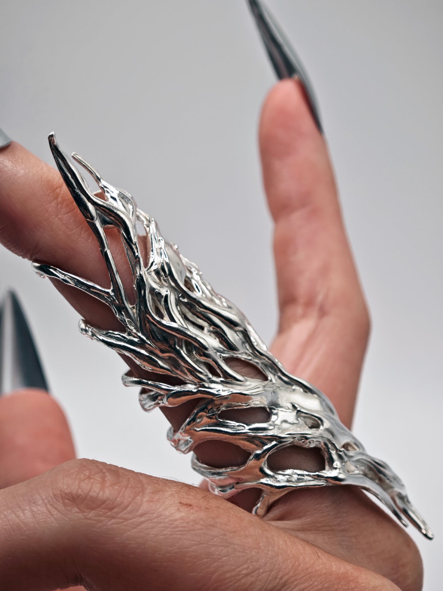 Anillo Erregiña