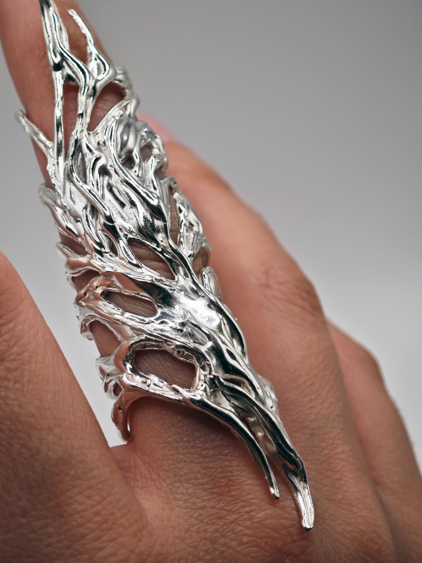 Anillo Erregiña