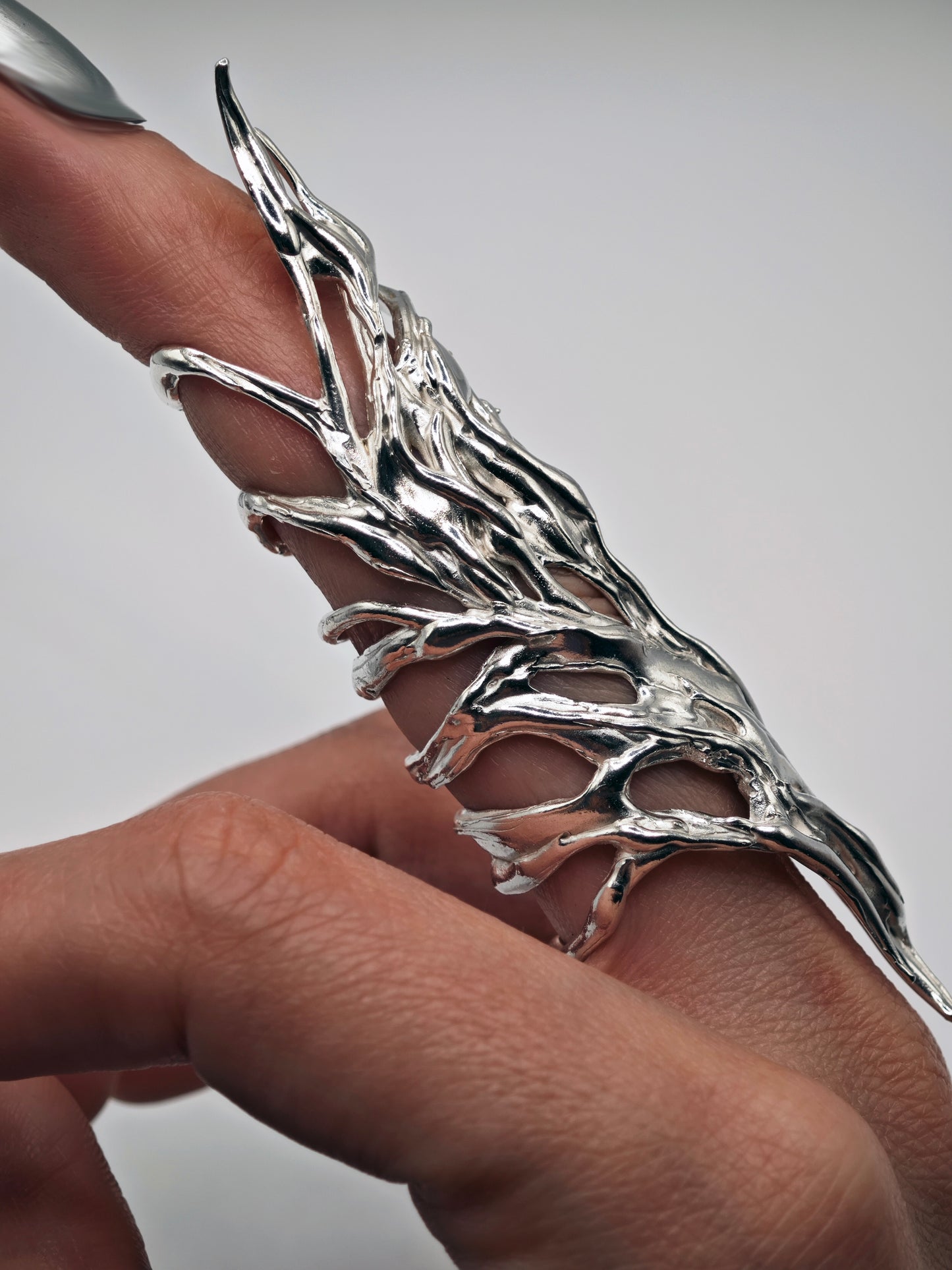 Anillo Erregiña