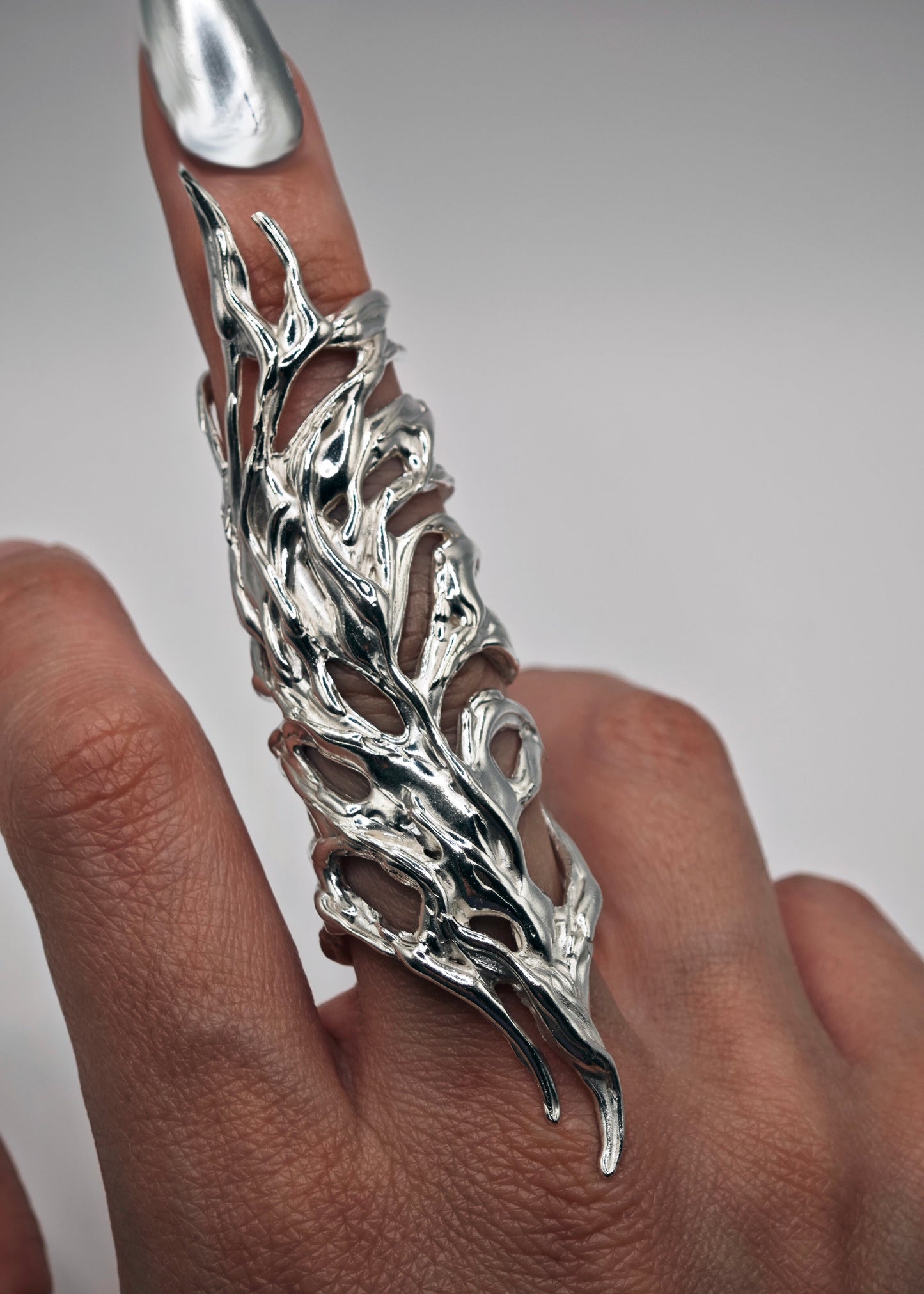 Anillo Erregiña