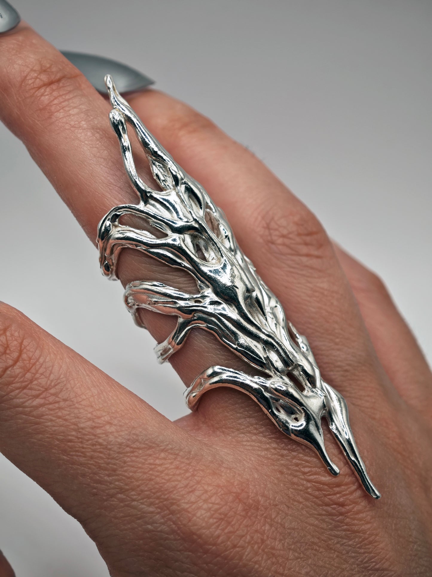 Anillo Flow