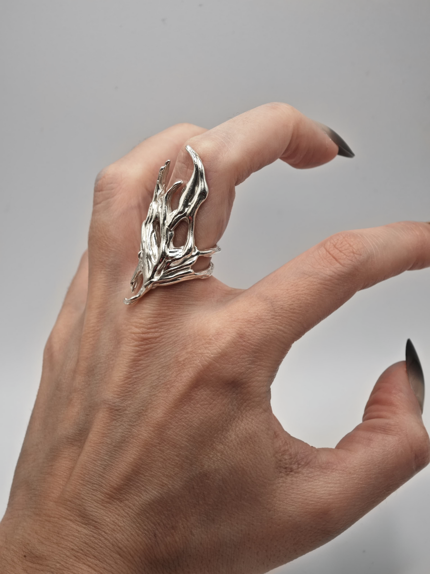 Anillo Ilun