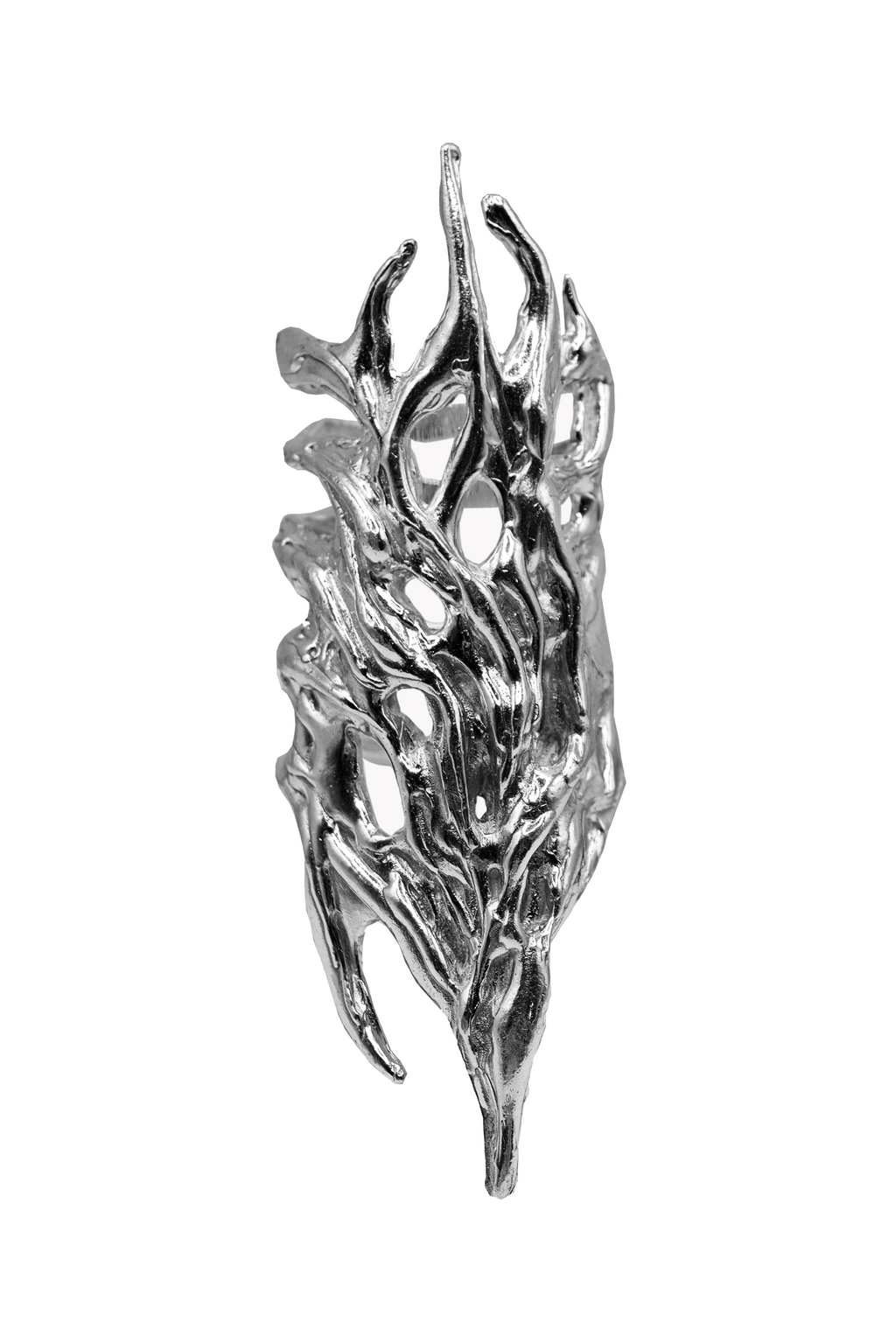 Anillo Erregiña