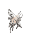Anillo Fadeta