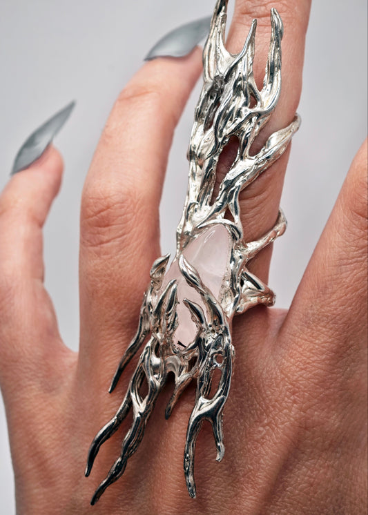 Anillo Printzes