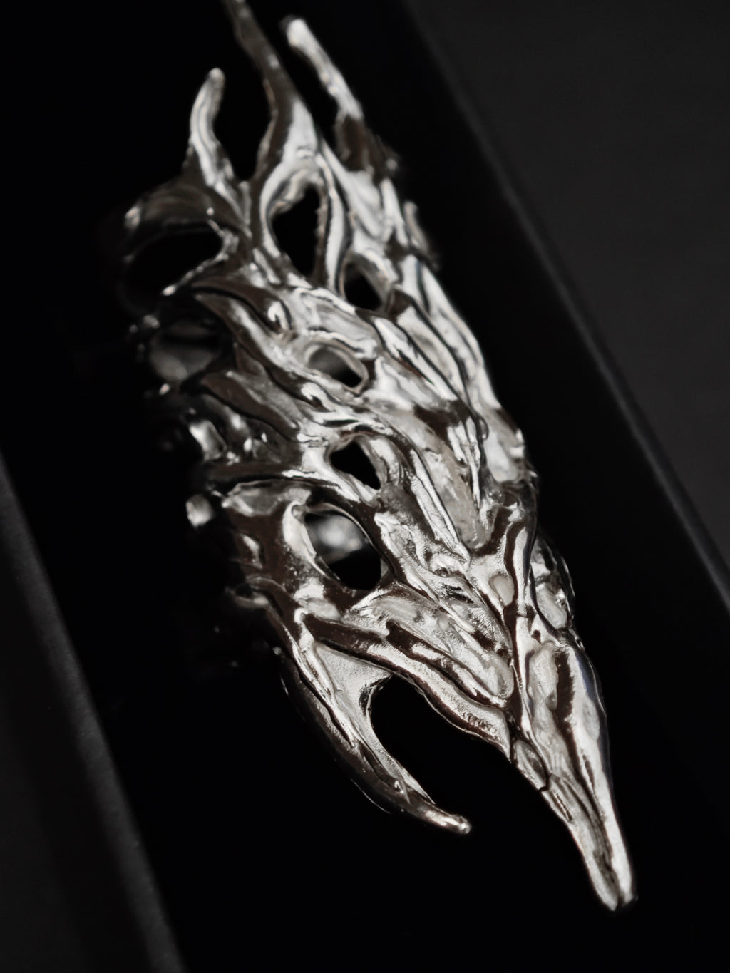 Anillo Erregiña