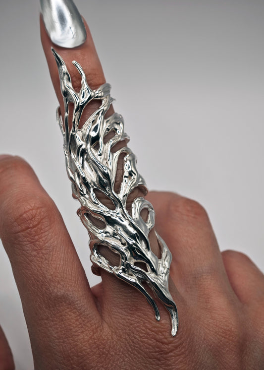 Anillo Erregiña