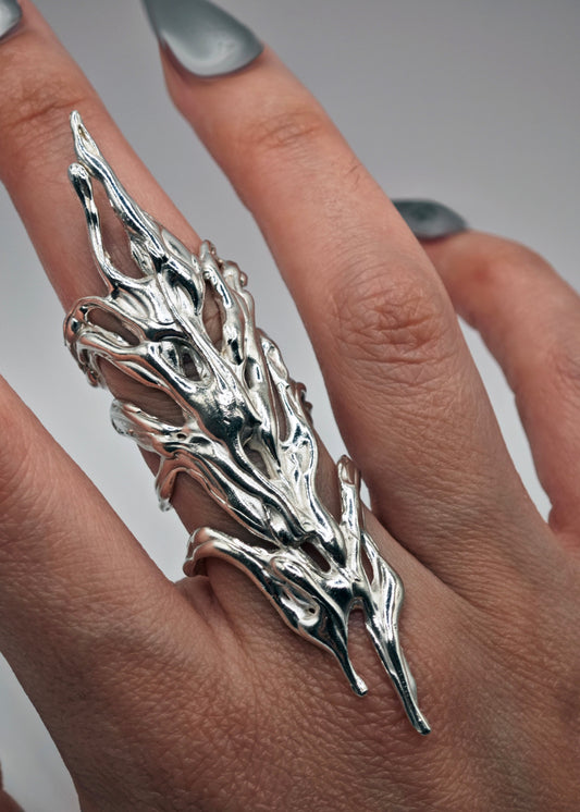 Anillo Flow