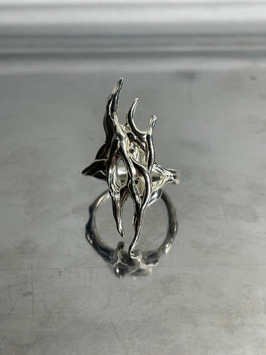 Anillo Sau