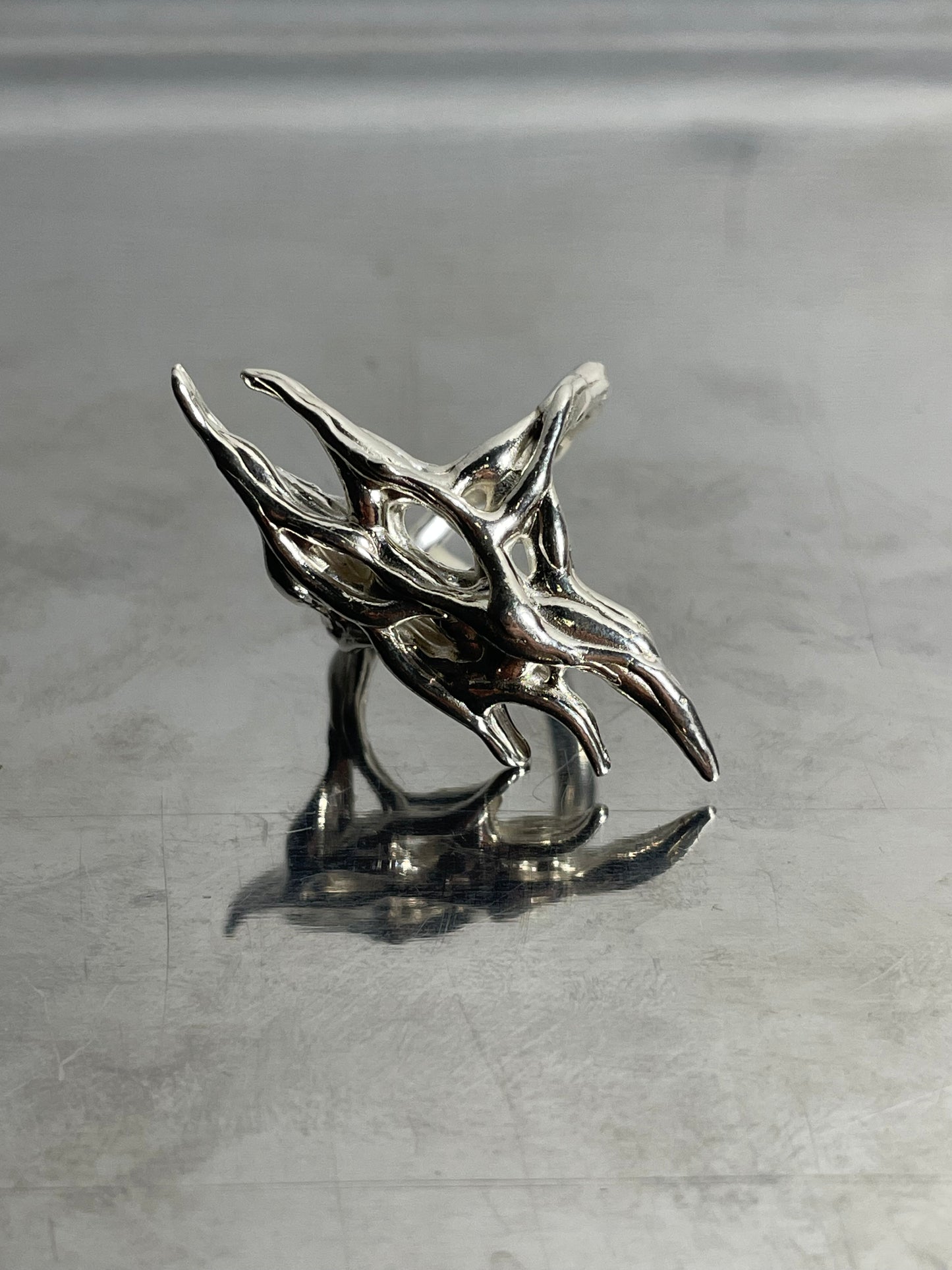 Anillo Sau