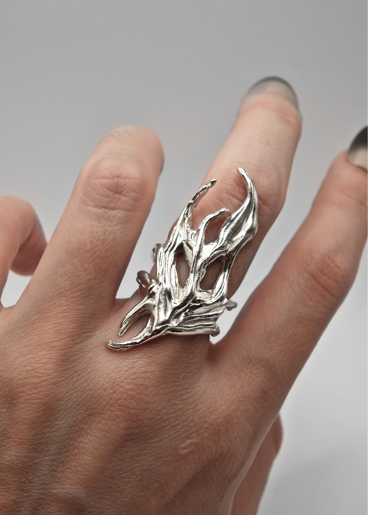 Anillo Ilun