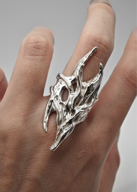 Anillo Kume