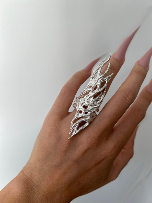 Anillo Sustrai
