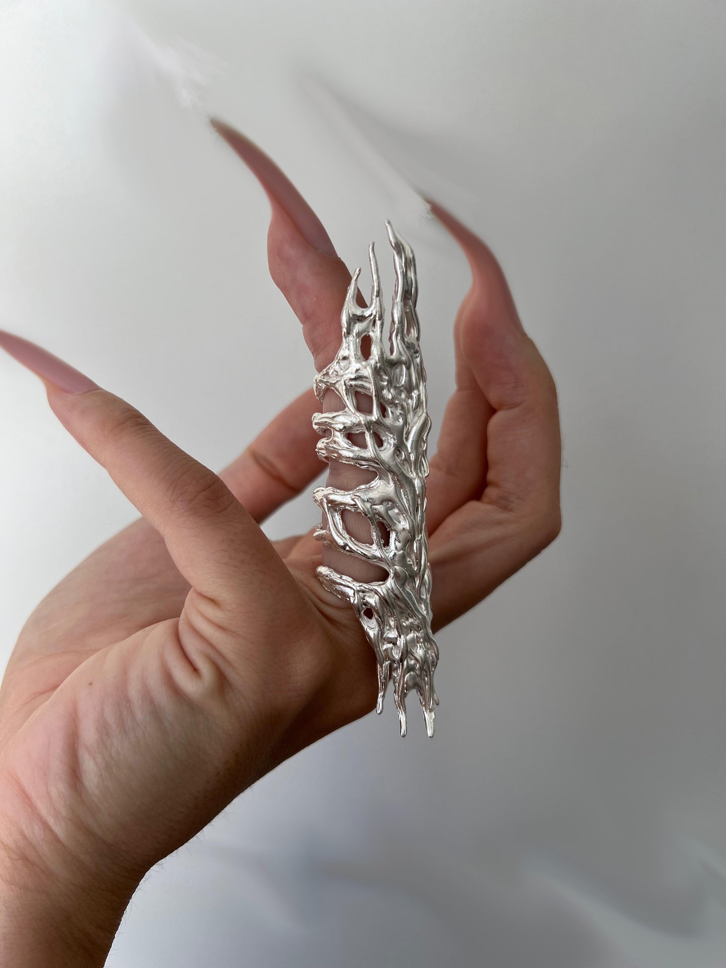 Anillo Erregiña