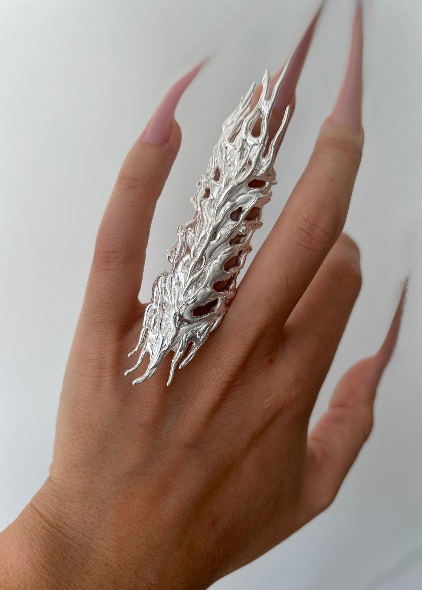 Anillo Erregiña