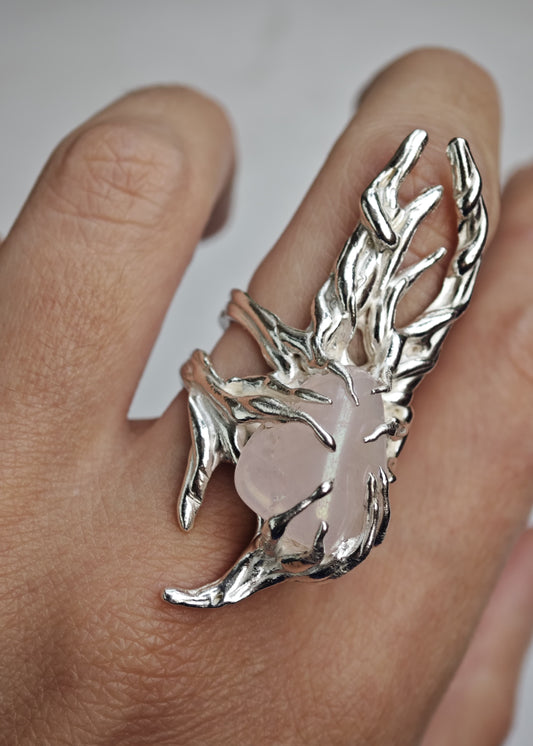 Anillo Garra